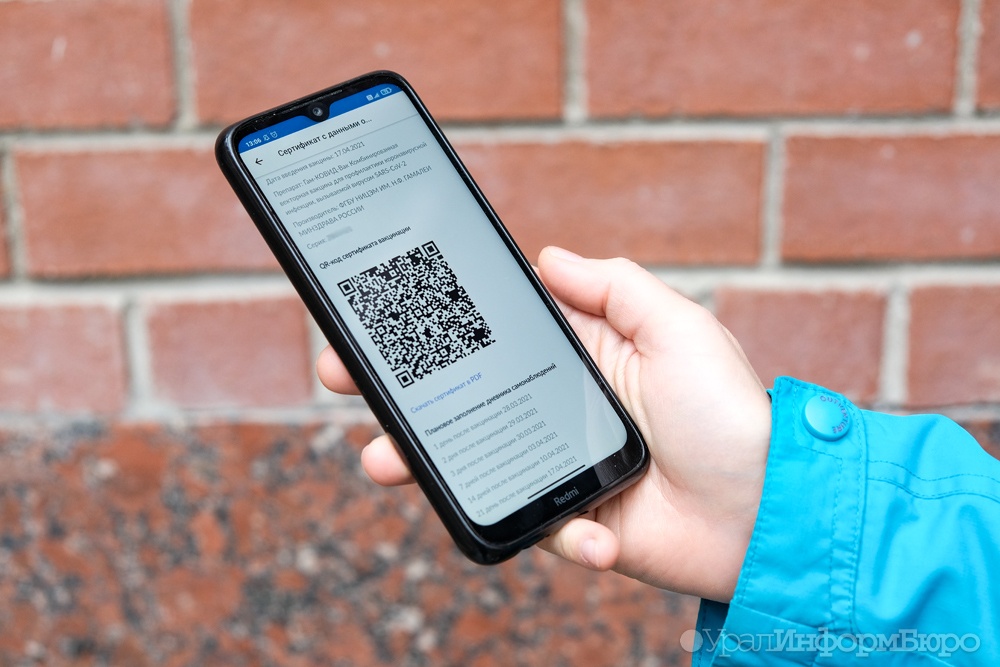  привитые спутником лайт получили замороженные qr-коды 