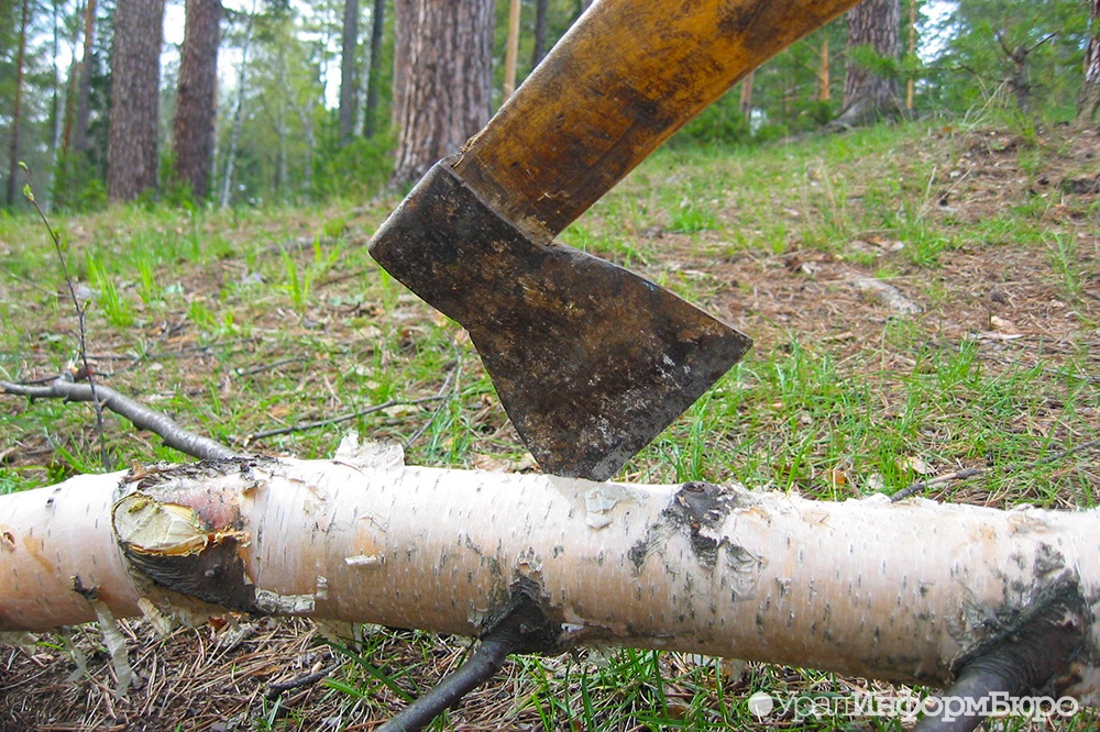  полторы тонны воды топоров свердловчанам определили случай войны 
