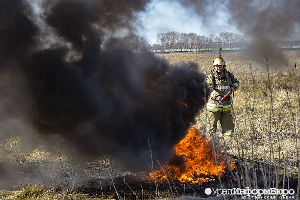  огненная война общественница воронежа назвала причину пожаров урале 