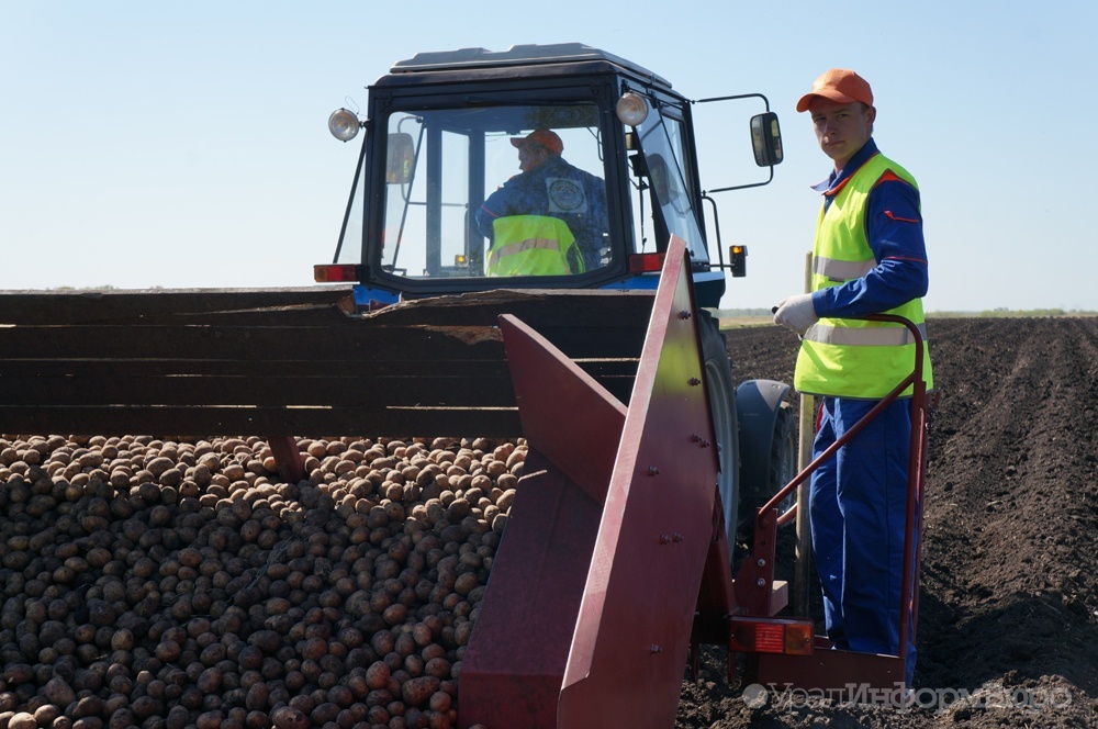  сельскую молодежь предложили принимать колледжи вне конкурса 