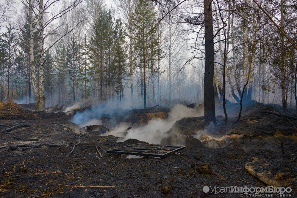  лесной пожар загорелась шайдуриха удалось потушить 