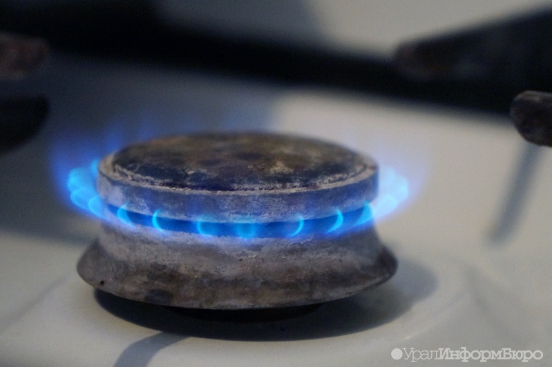  россиян обязать устанавливать домах датчики утечки газа 