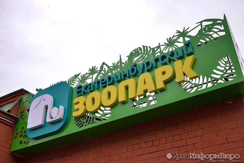  приятный сюрприз зоопарк екатеринбурга готовится принять животных 