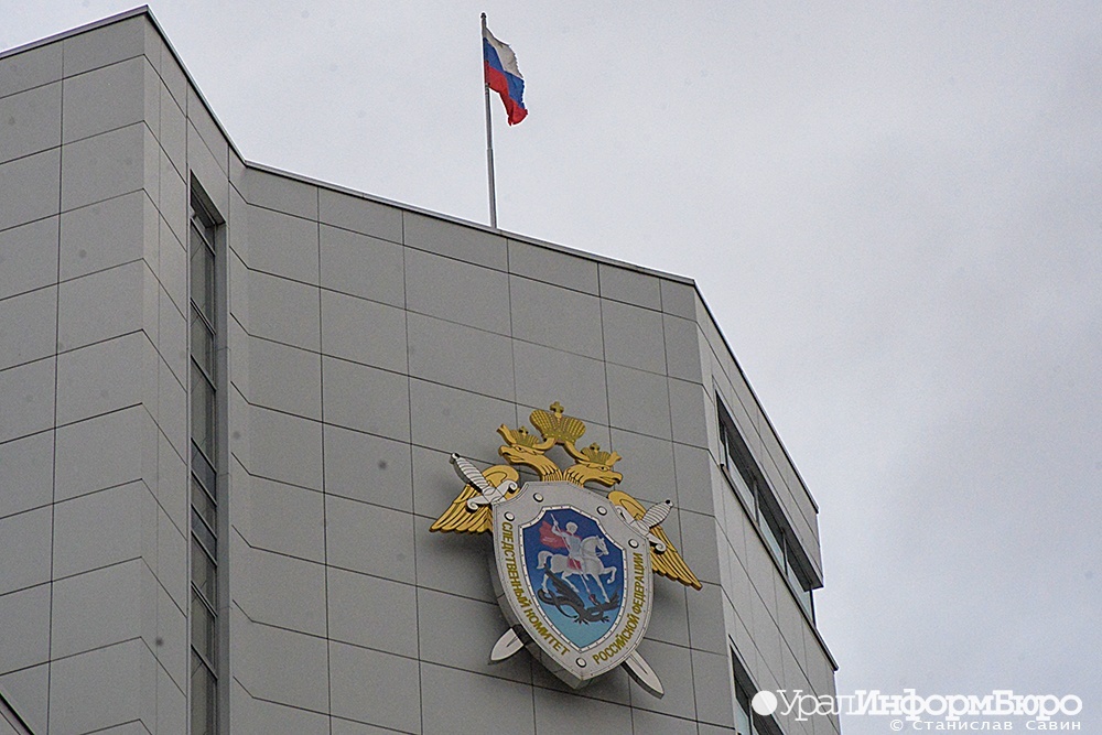 бастрыкин запросил доклад жестком нападении челябинского полицейского 