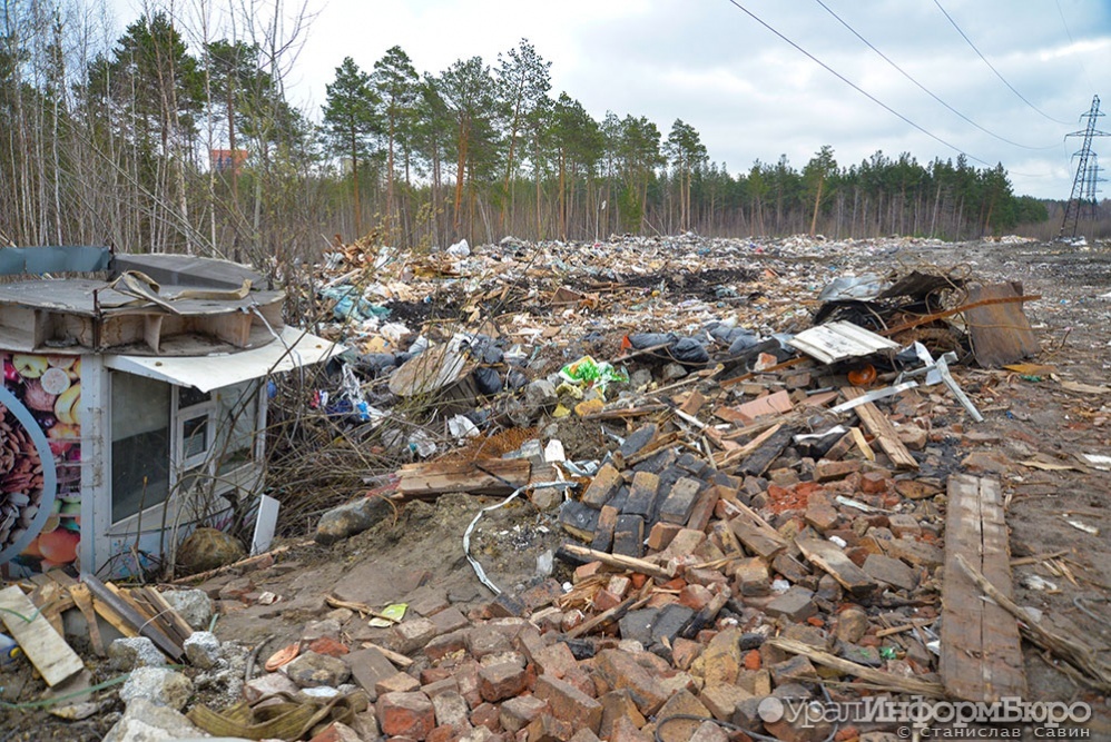  несанкционированные свалки границах городов ликвидируют концу 