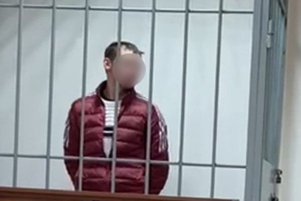  екатеринбурге начали судить мужчину забившего смерти двухлетнюю девочку 