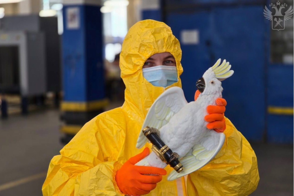 Фото: uralinform.ru