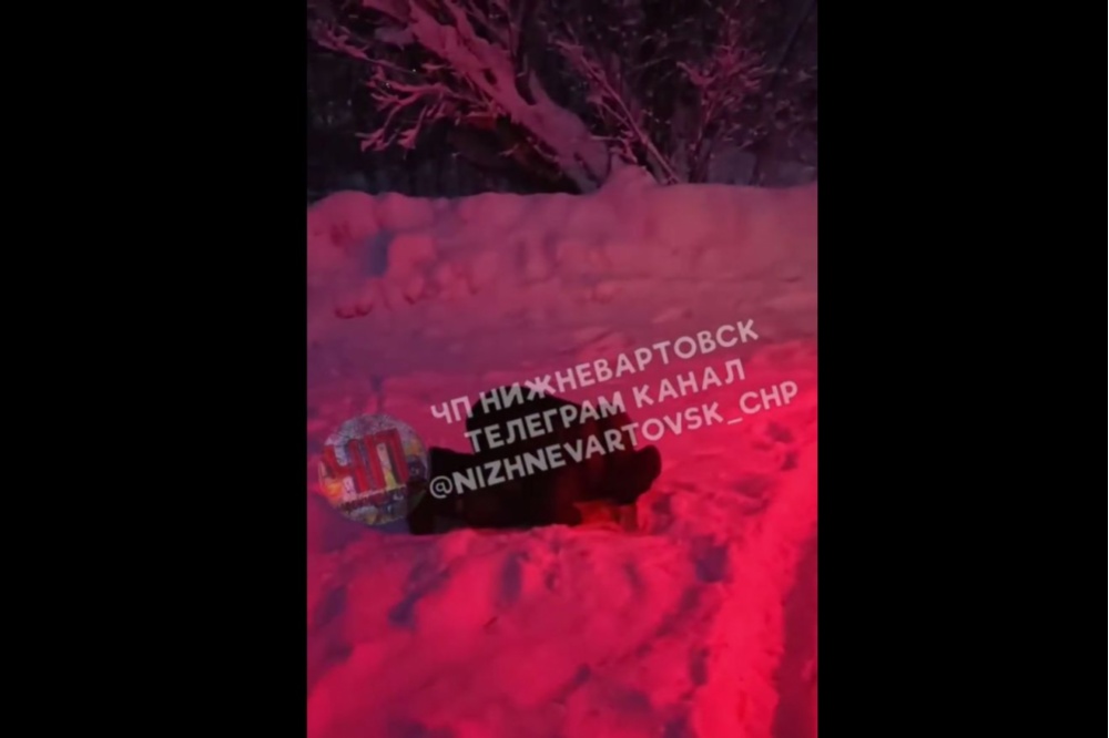  ���� �������� �������� ������ ���������� ������ �������� ����� 