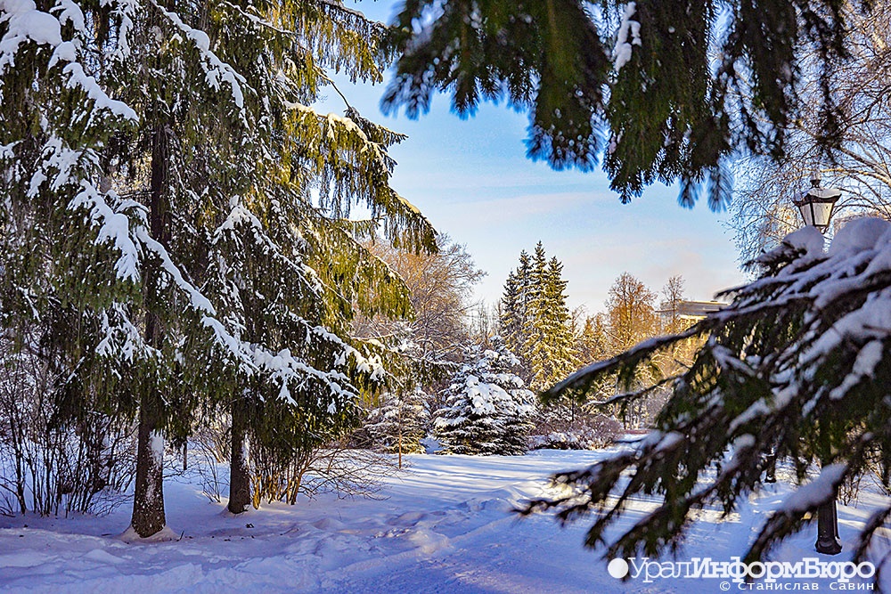  ���� ���������� ������������ ������� ������ 