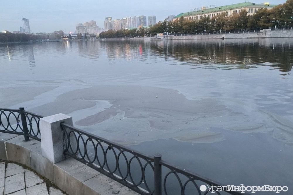  екатеринбуржцы заметили подозрительное пятно городском пруду 