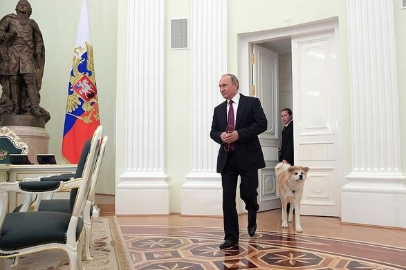 Путин напугал японцев Мечтой