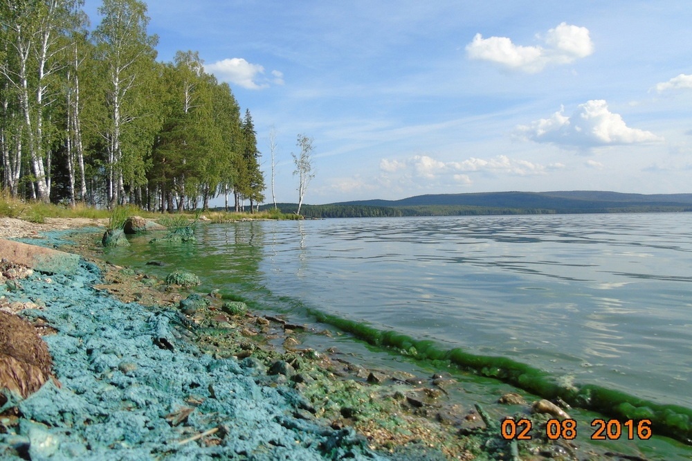  власти посчитали нецелесообразным чистить питьевой водоем нижнего тагила 
