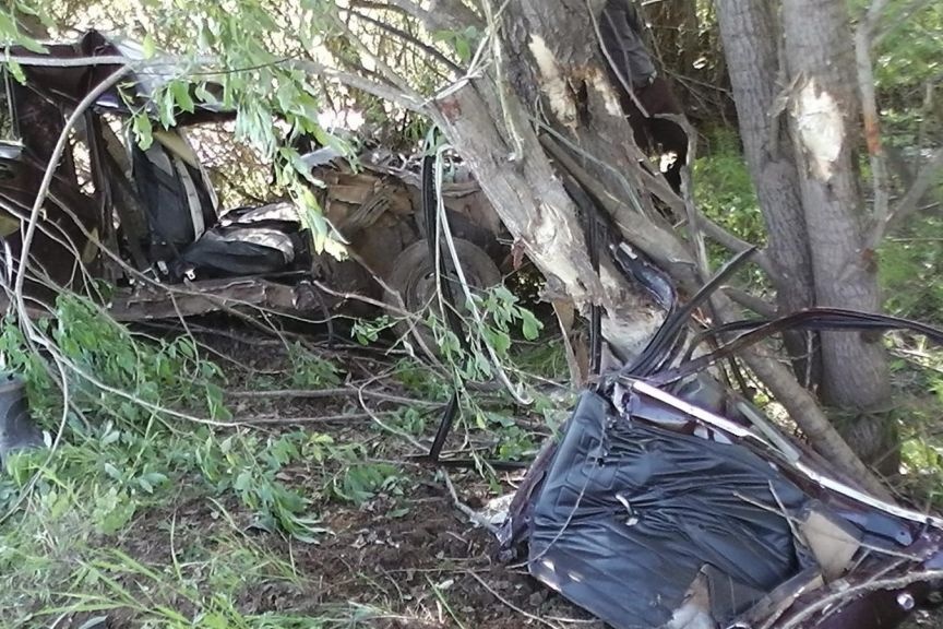  прикамье бесправник врезался дерево погубил пассажира 