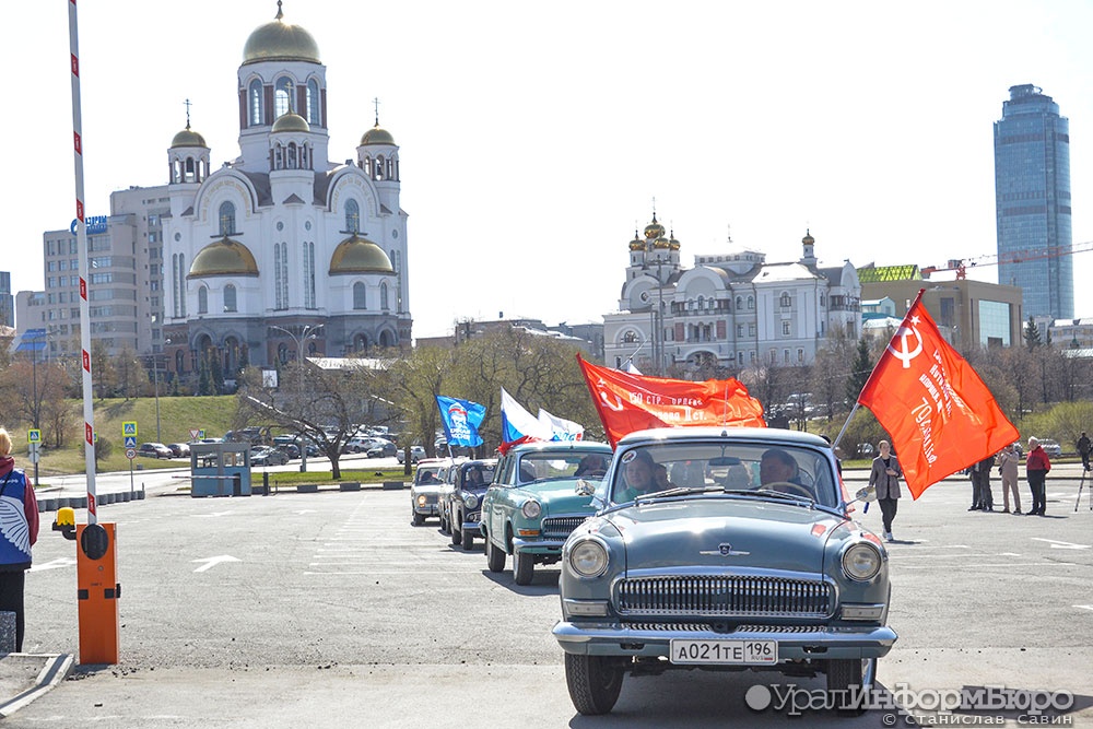  москвичи чайки заметили улицах екатеринбурга 