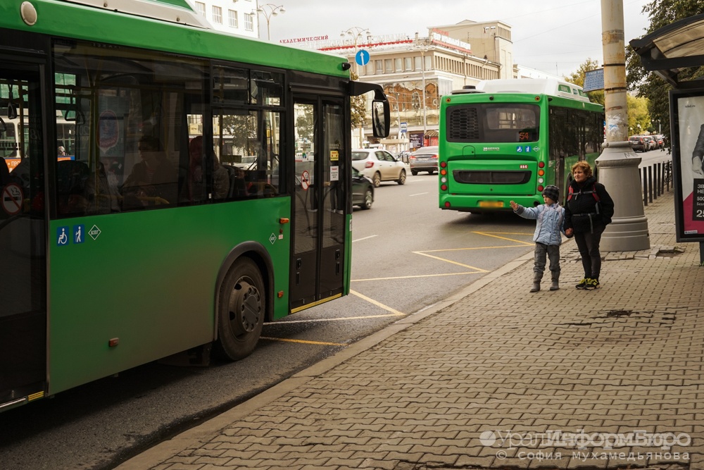  екатеринбургском транспорте искали коронавирус нашли кишечную палочку 