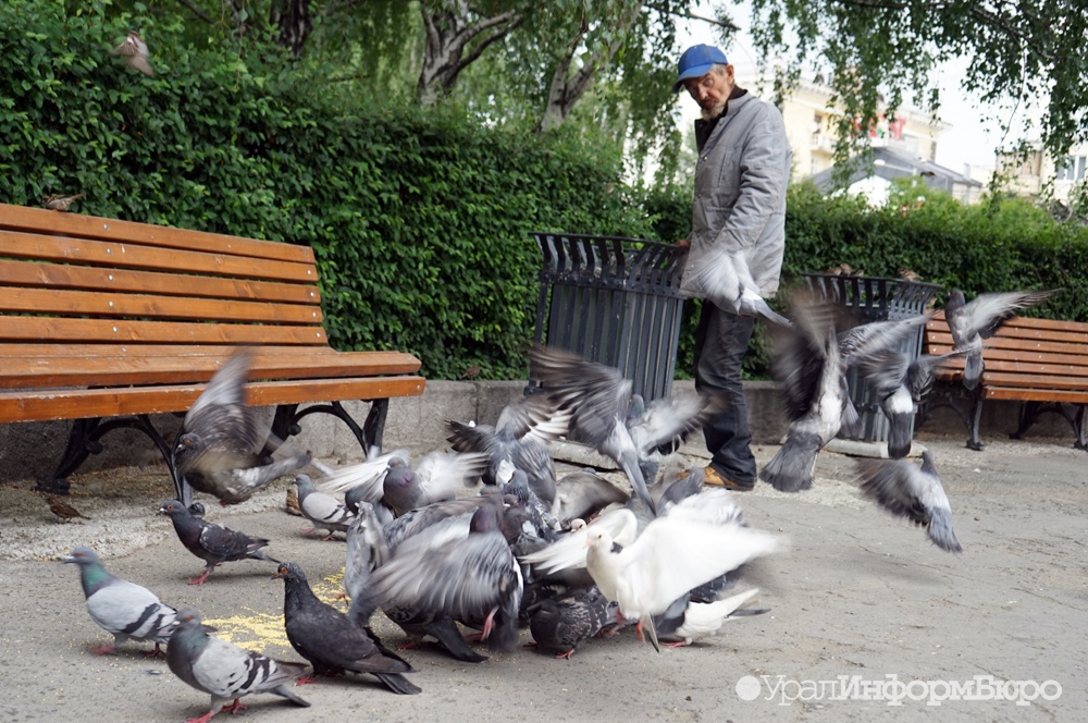  астаны выгнали 200 бомжей 