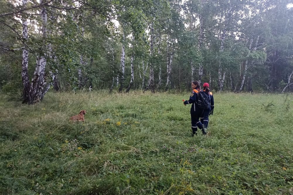  южном урале третьи сутки ищут подростка дцп возбуждено 