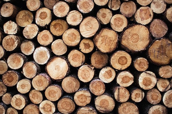  ради мусоросортировочного завода нижнем тагиле вырубят 5000 деревьев 