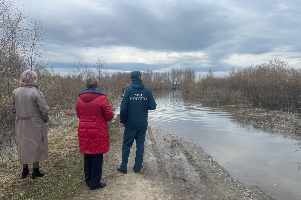  школьников перевели дистант половодья курганской области 
