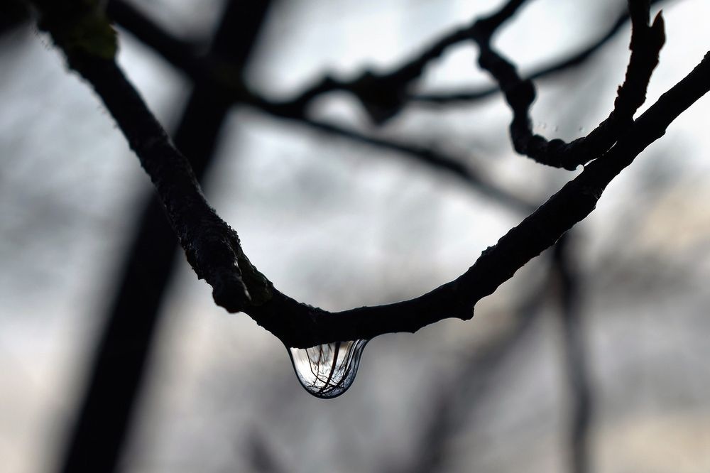 Фото: uralinform.ru