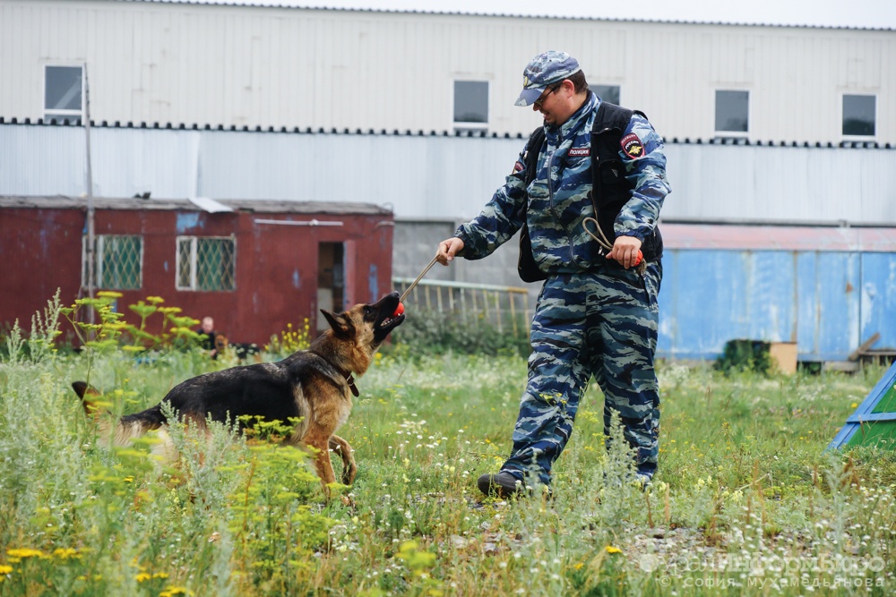 Фото: uralinform.ru