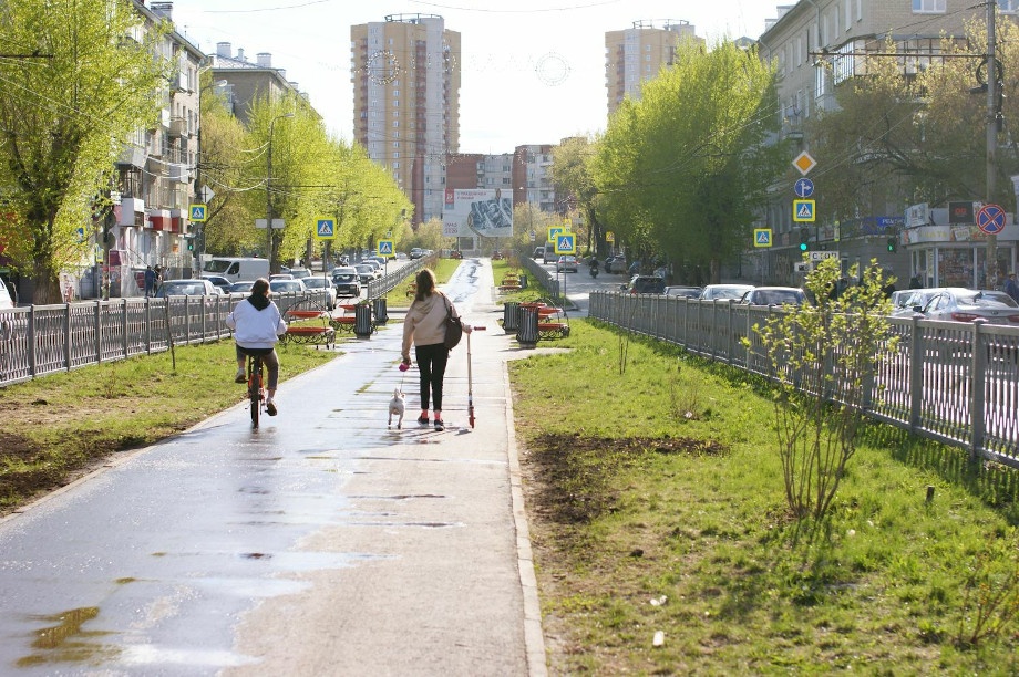  аллеи благоустройства проект екатеринбурга деревьев 