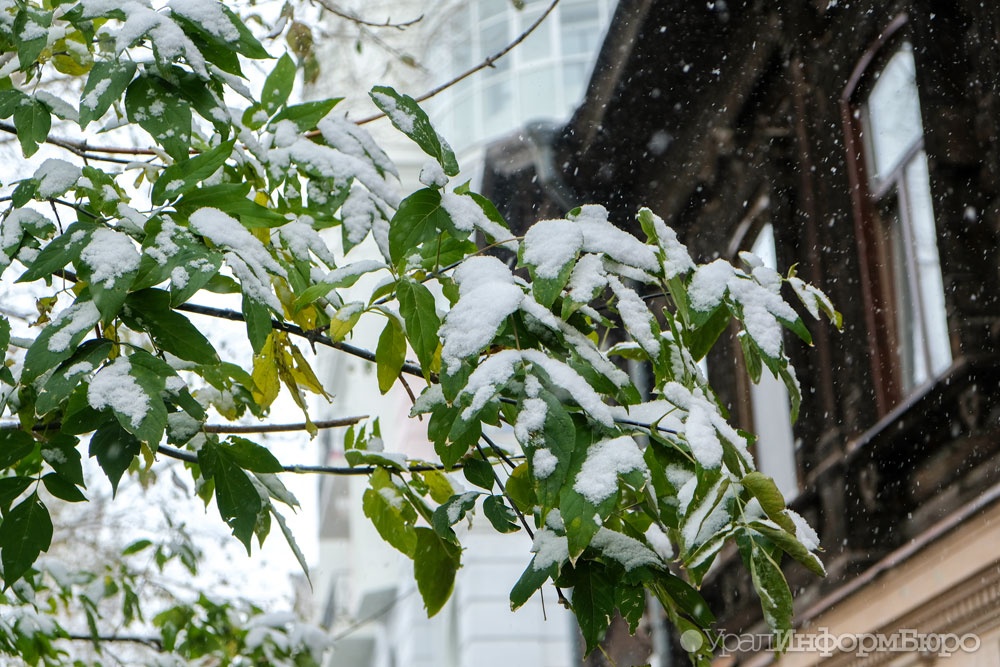 Фото: uralinform.ru