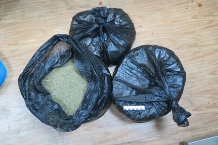  южном урале задержали бондарчука 100 килограммами марихуаны 