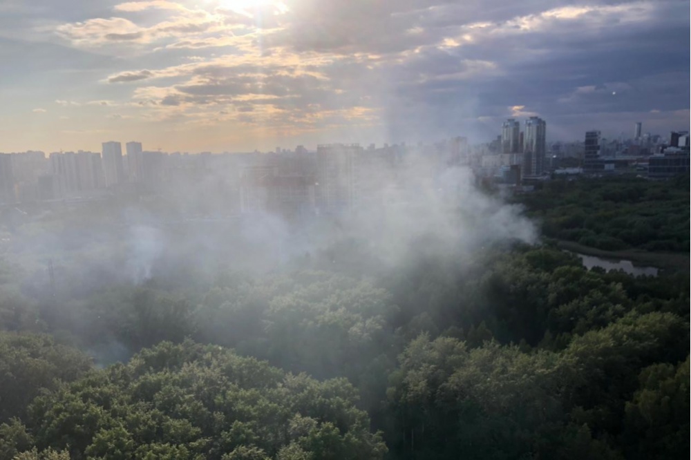  цпкио екатеринбурга намочат тропинки 