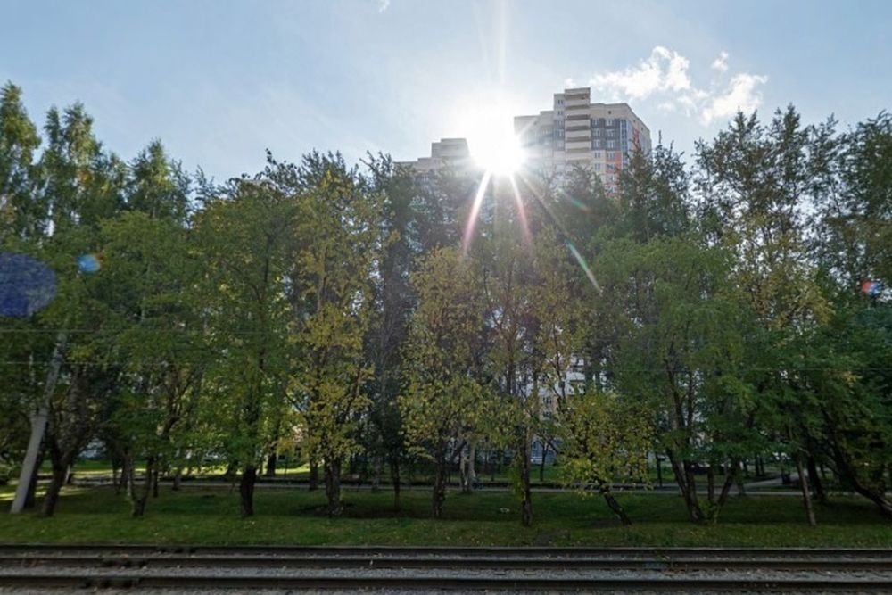  екатеринбурге зарубили идею сквером бориса рыжего 