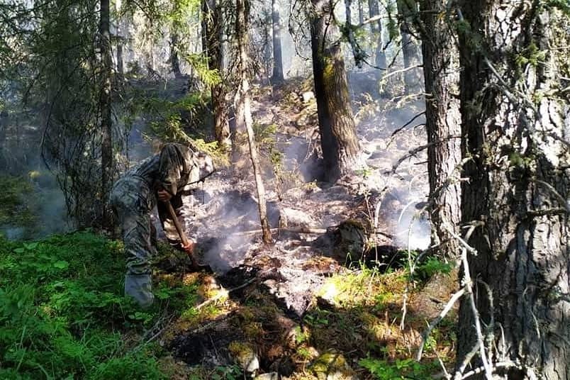 На Среднем Урале третий день не могут потушить пожар в заповеднике