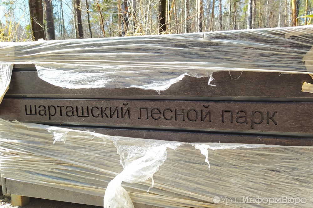  шарташскому парку пригодились клумбы миллионов рублей 