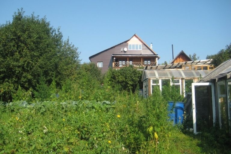  свердловчанин вырастил огороде 500 кустов конопли 