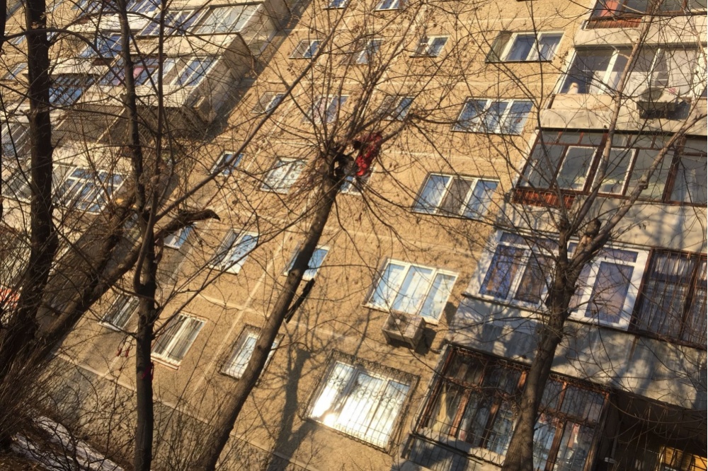  екатеринбургская пенсионерка объявила соседям фекальную войну 