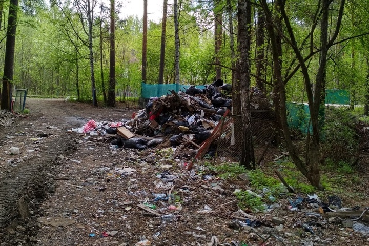  разорвал мешки мусором шадрин виновных беспорядке цпкио 