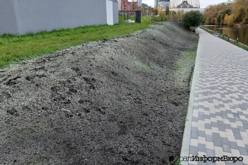  землю набережной исети екатеринбурге покрасили зеленый цвет 