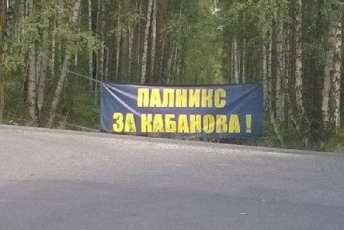  свердловские кандидаты агитируют помощью деревьев краски 