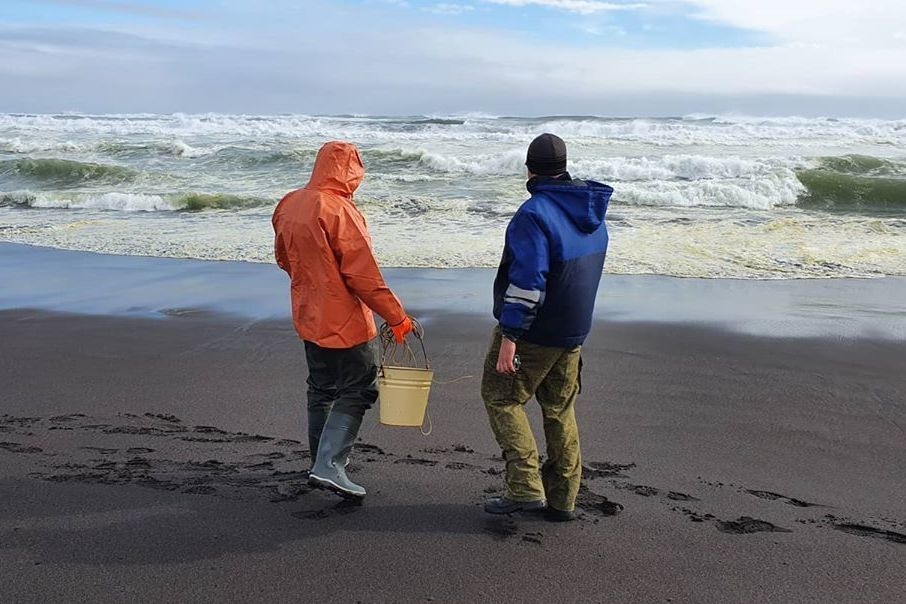  животных морских воды специалисты пробы гибели мертвых пляже 