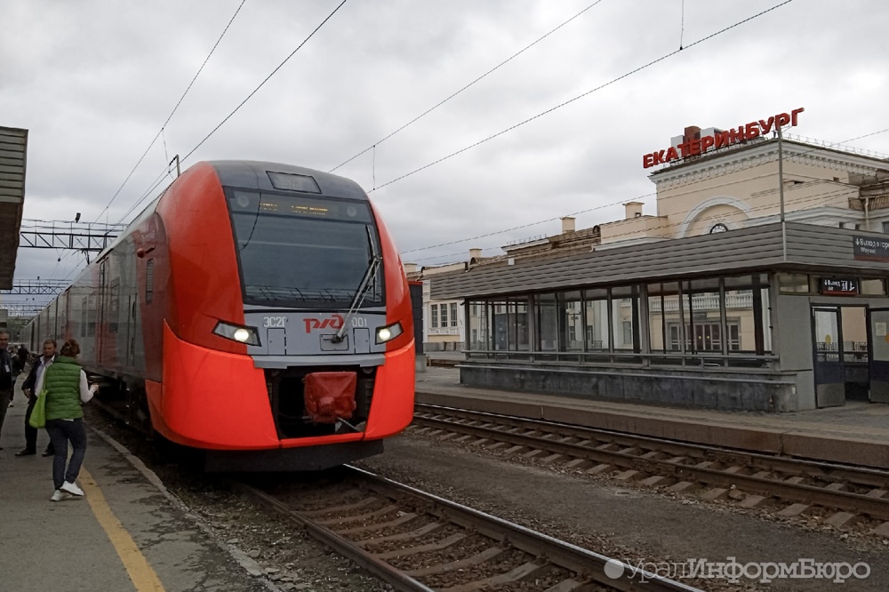  количество ласточек екатеринбурга качканар увеличится 