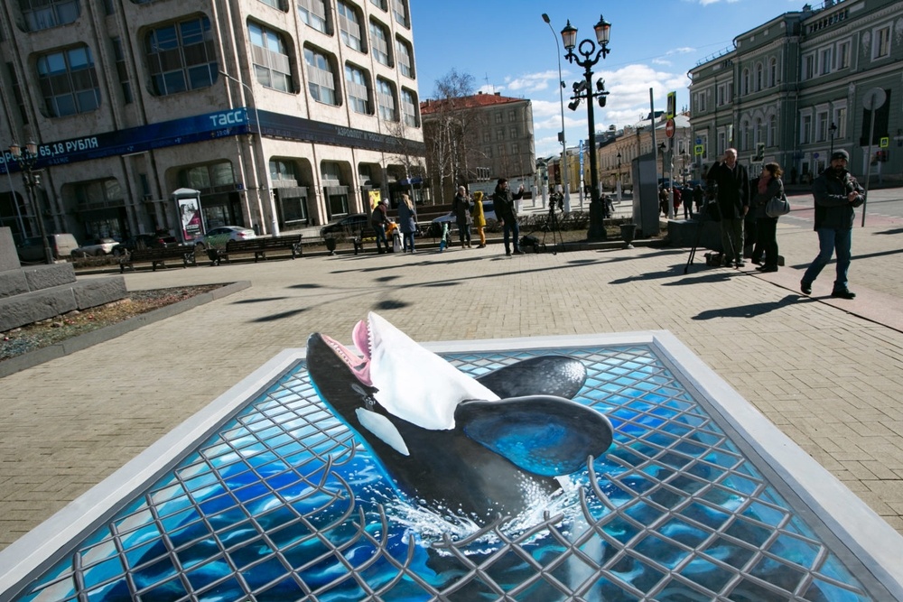  центре москвы косатка разорвала сеть вырвалась китовой тюрьмы 