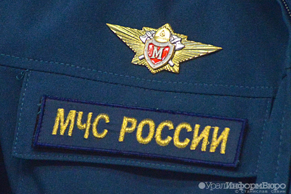  урфо возбуждено уголовных дел поджогах леса 