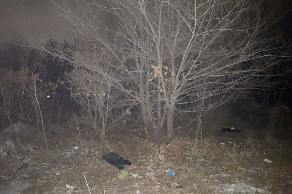  саратове полицейские отняли собаки человеческую 