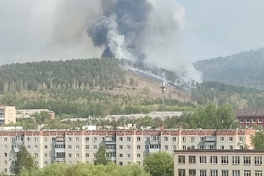  миассе лесной пожар перекинулся снт 