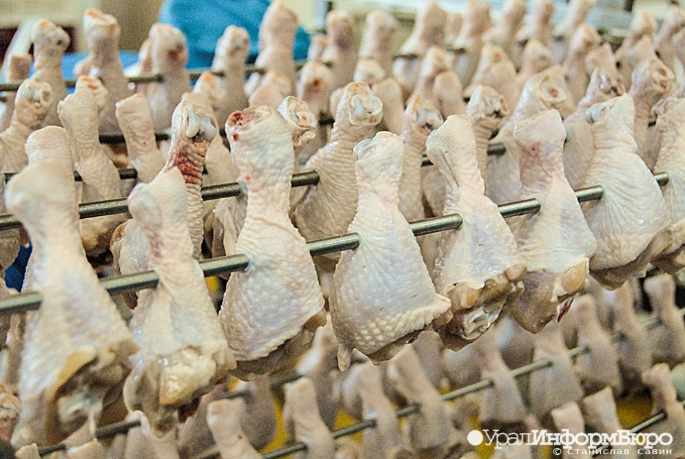  экспорт мяса птицы россии оказаться запретом 