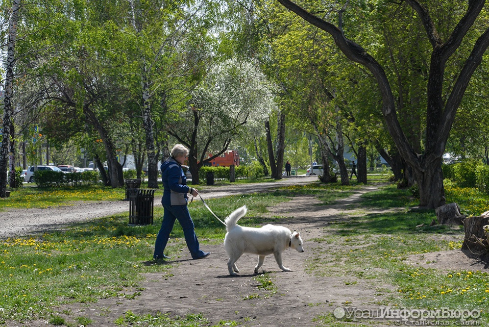  екатеринбурге появится сквер бориса рыжего решение комиссии топонимике 