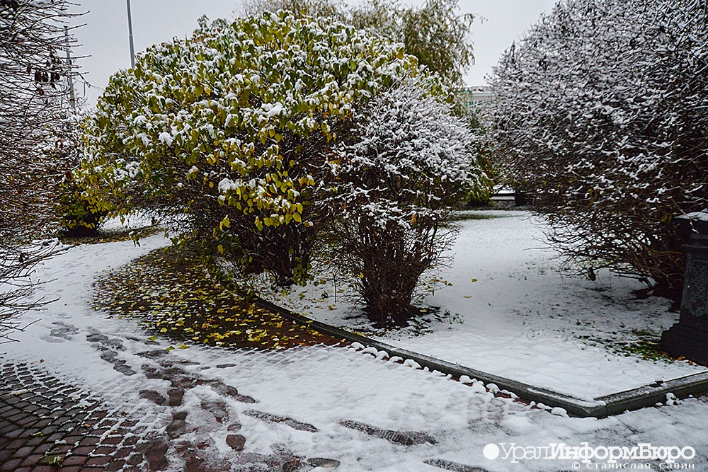 Фото: uralinform.ru