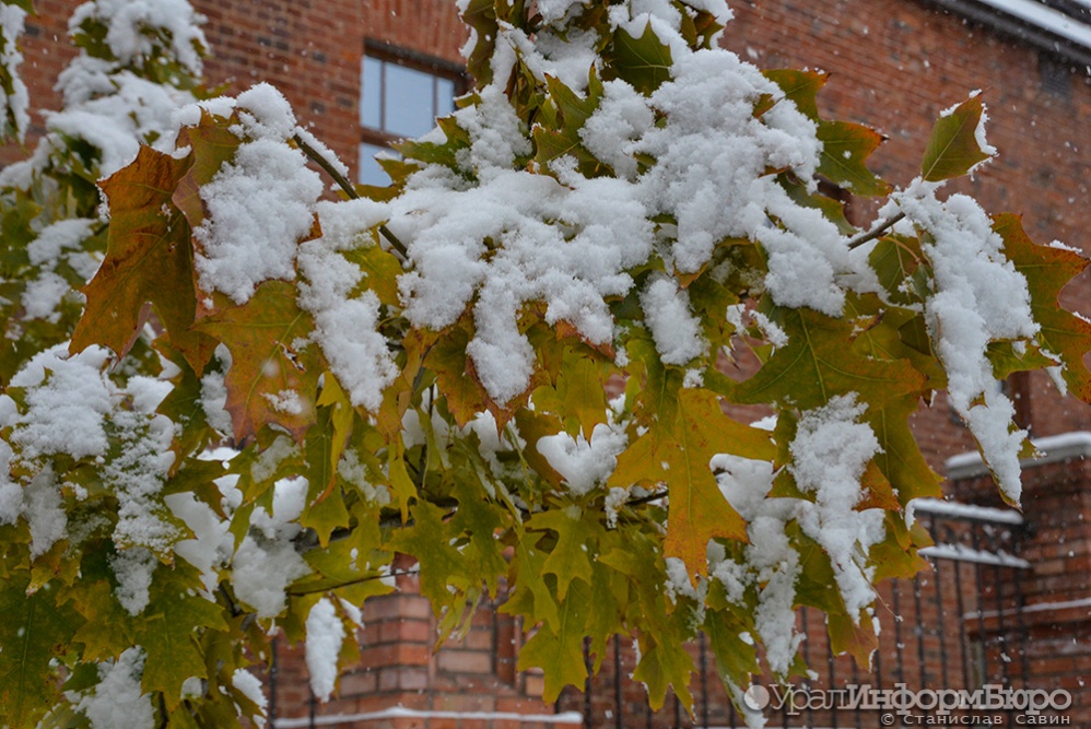 Фото: uralinform.ru