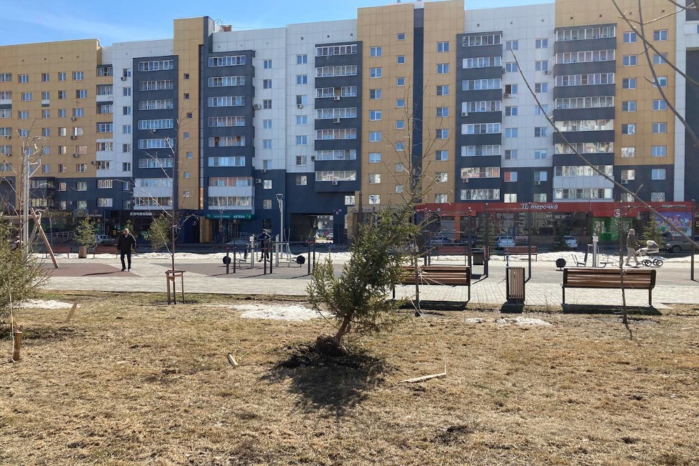  озеленение улицы челябинске вылиться уголовное 