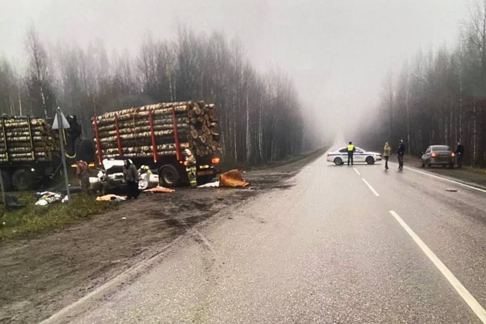  количество жертв дтп лесовозом пермском крае выросло трех 