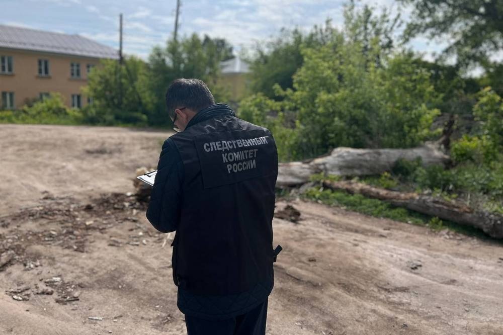  копейске пенсионерку убило поваленным ветром деревом 